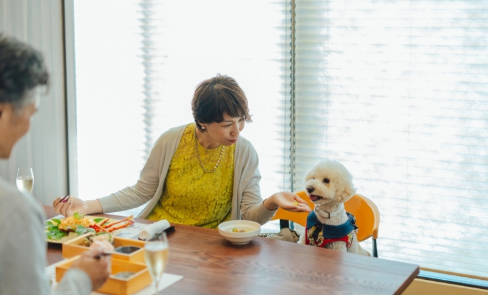 ランチイメージ