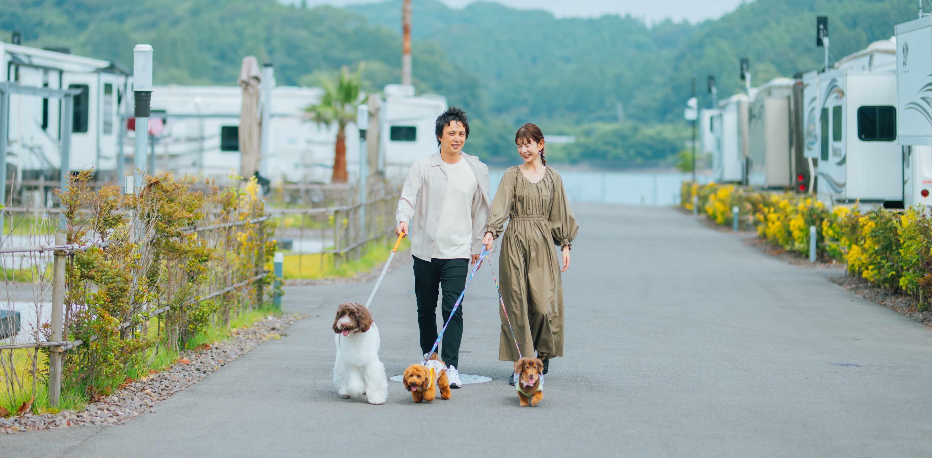 地元食材×シェフ